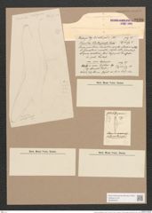 Toxonidea challengeriensis Castr. (de-Toni-Nr.: Genus 16, Species 1143) Zeichnungen Sammlung Grunow Nr. 2238 (NHMW-BOT-W0369328)
